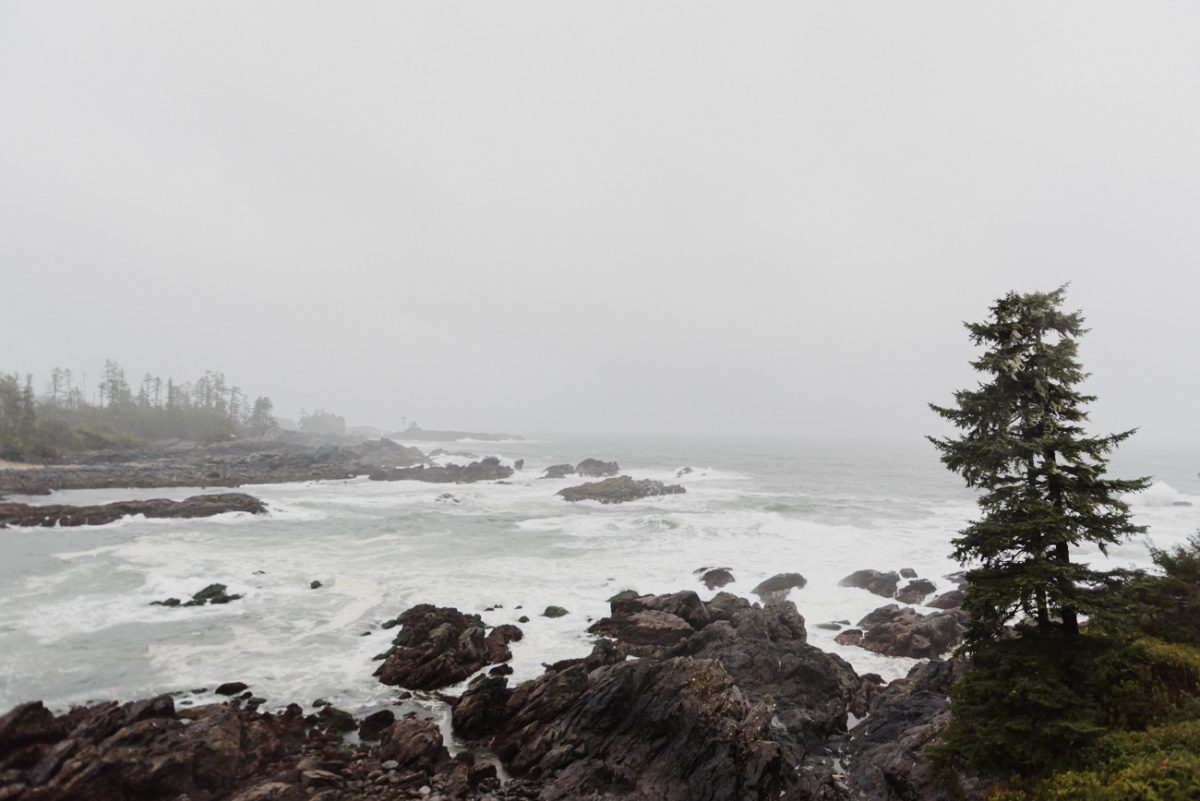 Spring coastline in Ucluelet