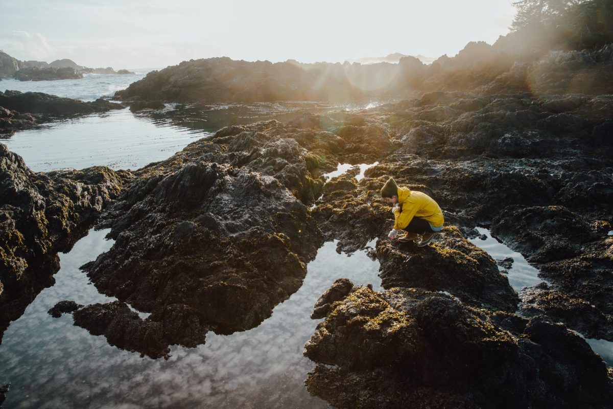 Winter storm watching in Ucluelet